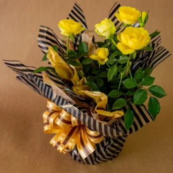 Roseiras