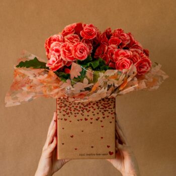 Begônia | Floricultura Recanto das Flores